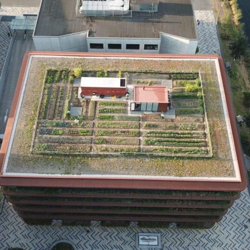 Bovenaanzicht van dakmoestuin op Danzigerkade Amsterdam Weerproof