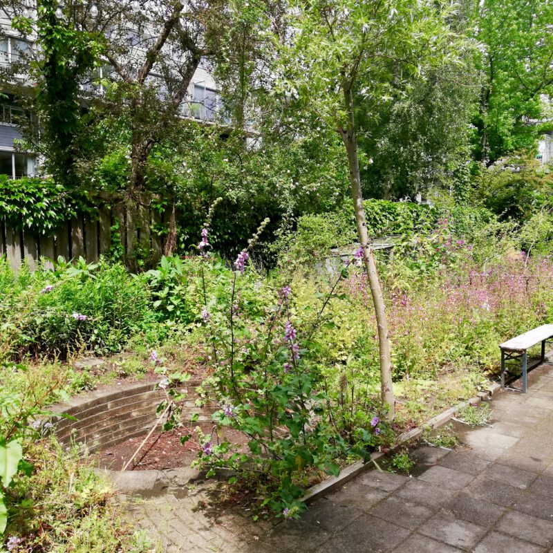 Waterput in groene tuin voor regenwater opslag Amsterdam Weerproof