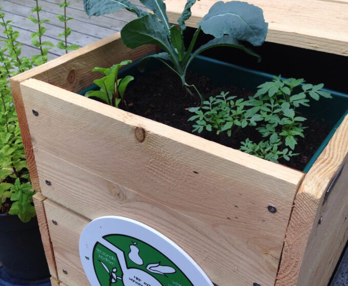 Plantenbak met wateropslag en compost Amsterdam Weerproof