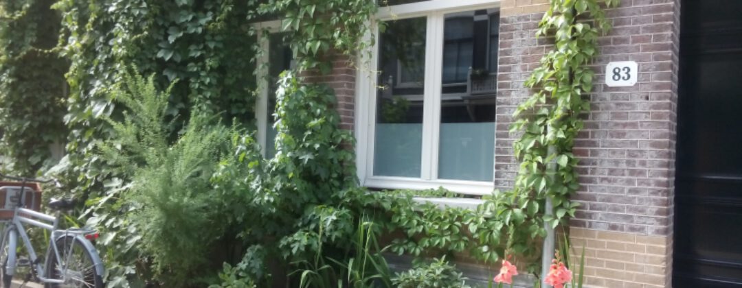 Geveltuin met klimplanten Amsterdam Weerproof
