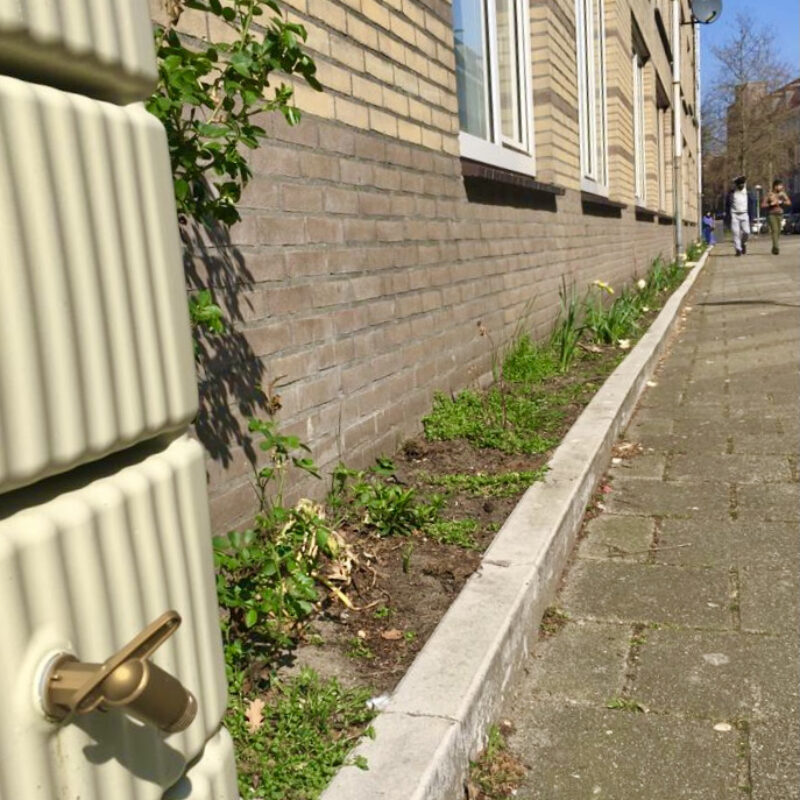 Geveltuin in Amsterdam Oost Amsterdam Weerproof