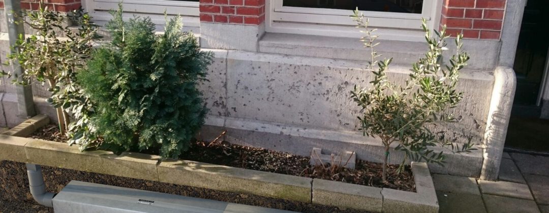 Geveltuin met waterberging van Hydrorock onder de stoep Amsterdam Weerproof