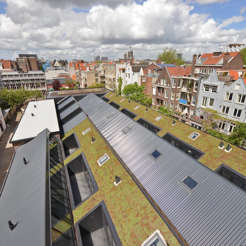 Hellend groen dak op Tandwielenfabriek Amsterdam Weerproof