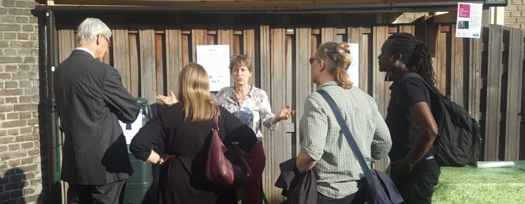 Groene dak op schuur bij Huis van de Wijk Lydia Amsterdam Weerproof