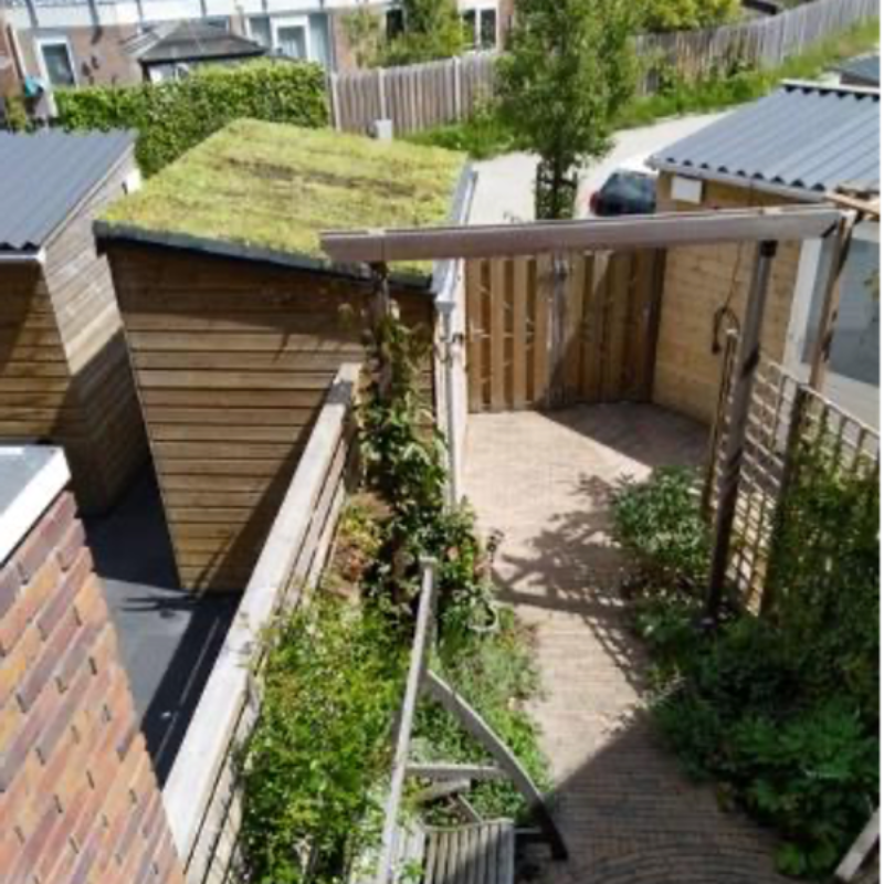 Groene daken op schuurtjes door 't Groene Loket Amsterdam Weerproof