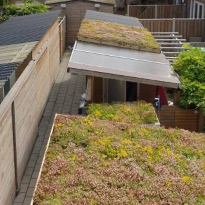 Groene daken op schuurtjes Amsterdam Weerproof