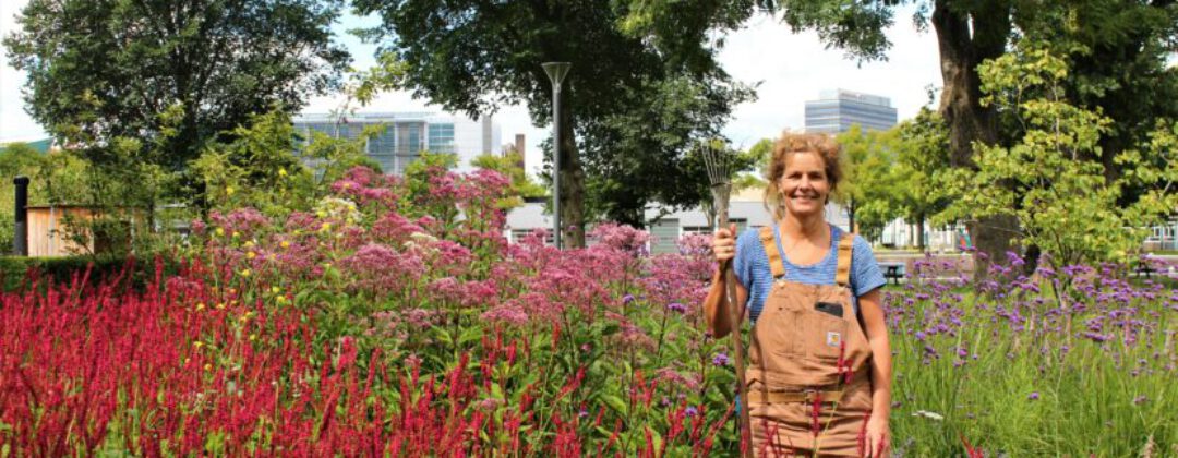 Event: Groenmarkt op het Marineterrein