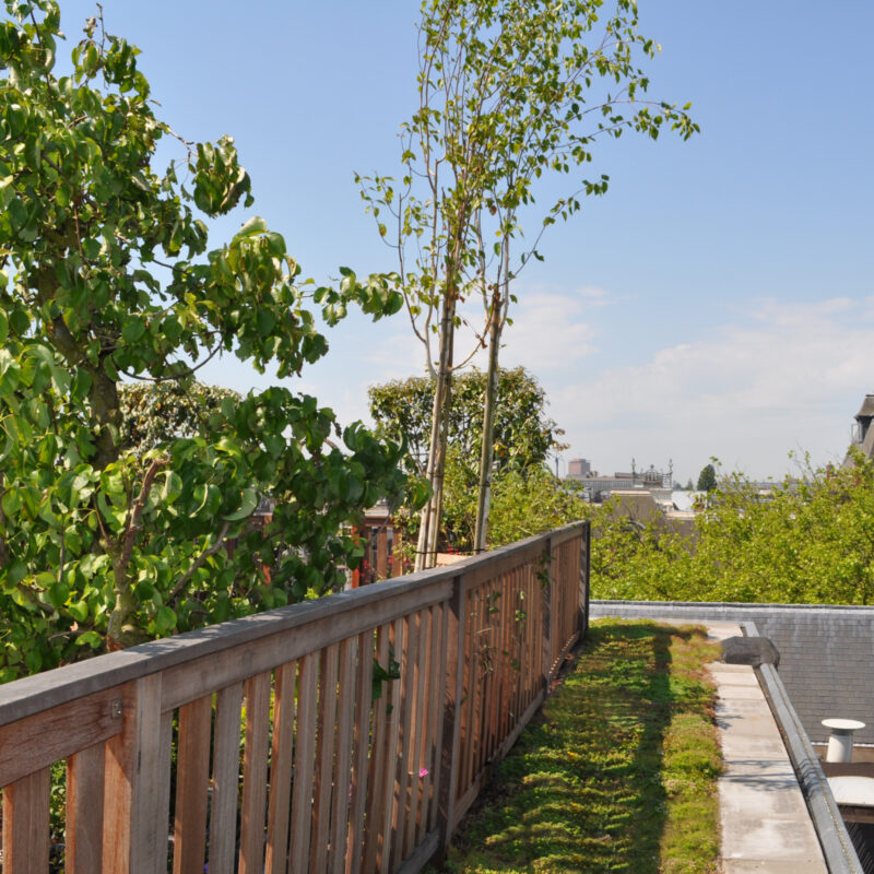 Weelderige daktuin met groen dak Amsterdam Weerproof