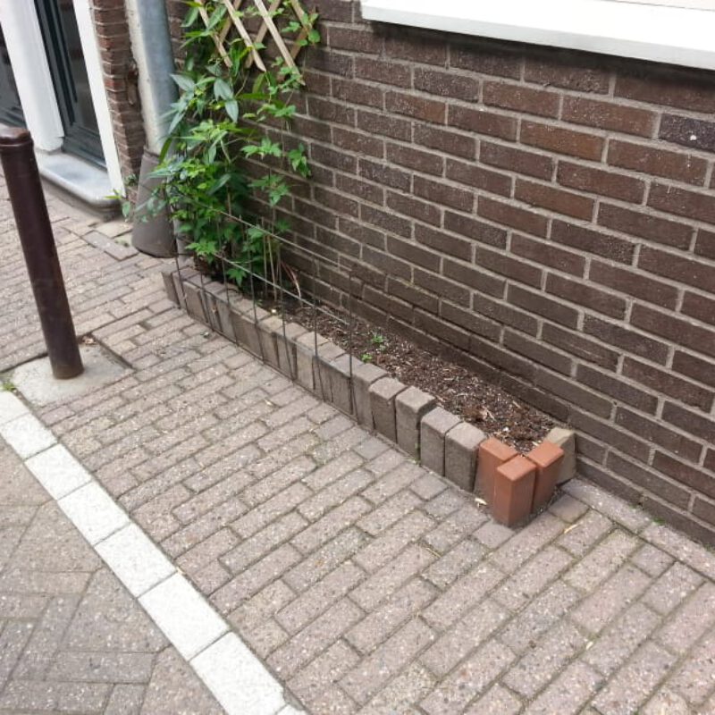 Nieuwe groene geveltuin Amsterdam Weerproof