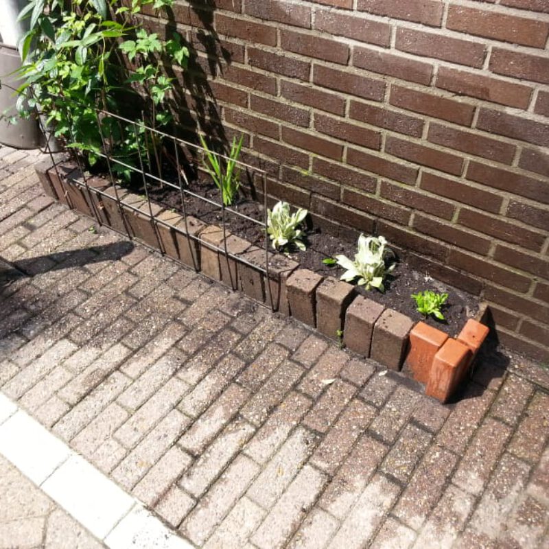 Kleine geveltuin met bloemen Amsterdam Weerproof