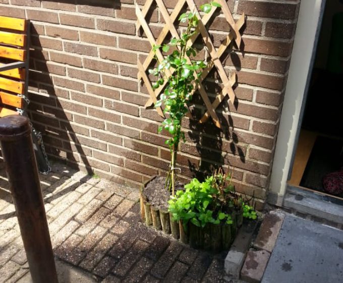 Kleine geveltuin