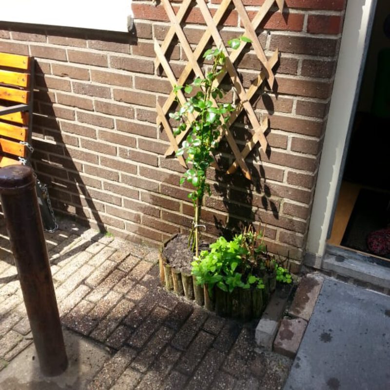Kleine geveltuin