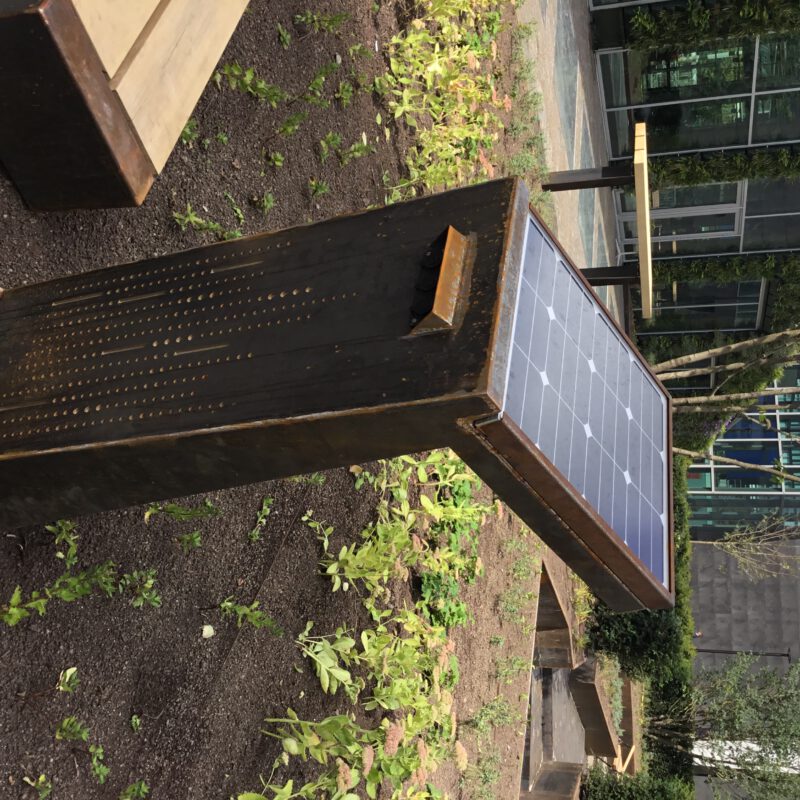 Aanleg Circl groene oase op de Zuidas Amsterdam Weerproof