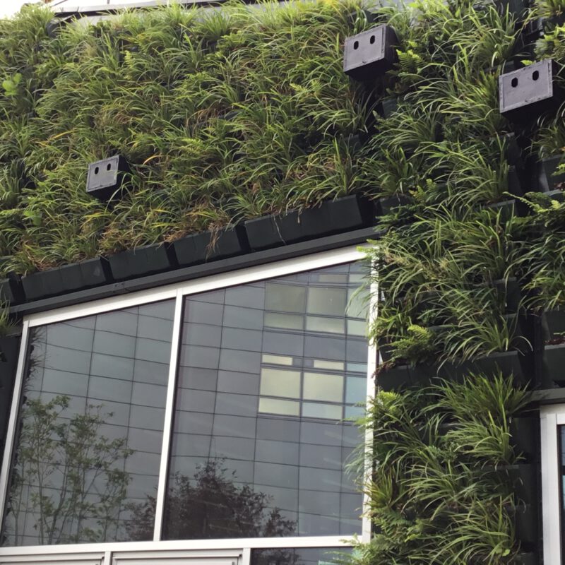 groene muur Circl groene oase op de Zuidas Amsterdam Weerproof