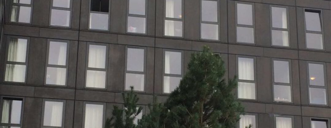 Daktuin Laan van Spartaan Amsterdam Weerproof