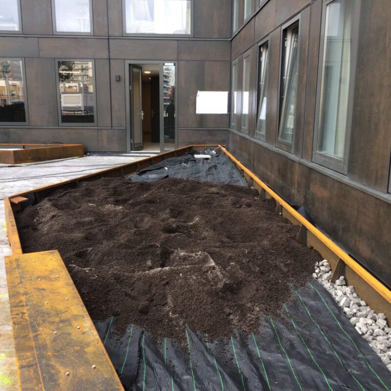 Daktuin Laan van Spartaan Amsterdam Weerproof