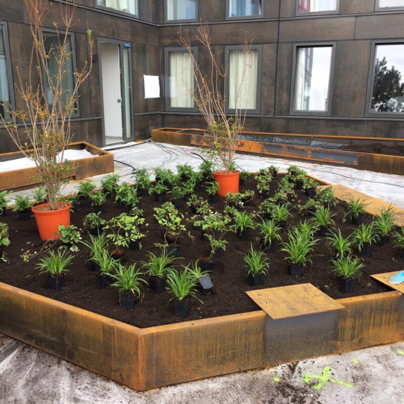 Daktuin Laan van Spartaan Amsterdam Weerproof