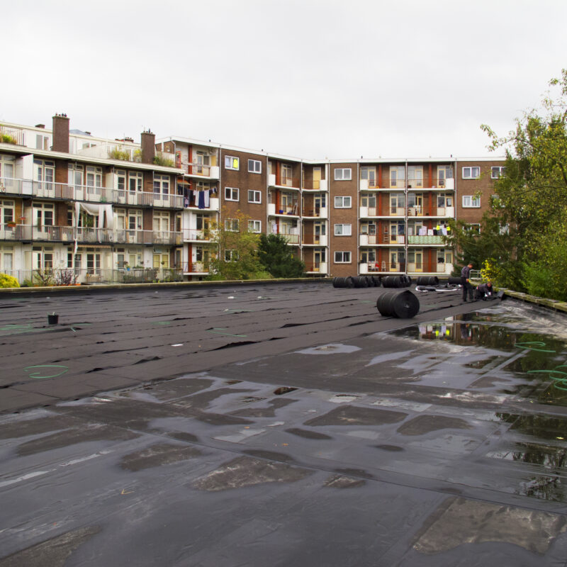 Aanleg groen dak boven garage Amsterdam Weerproof