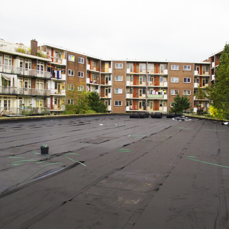 Aanleg groen dak boven garage Amsterdam Weerproof