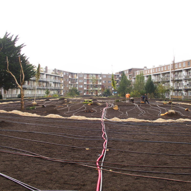 Aanleg groen dak boven garage Amsterdam Weerproof