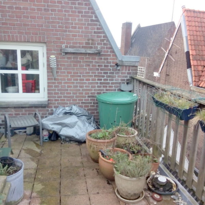 Regenton en daktuin Amsterdam Weerproof