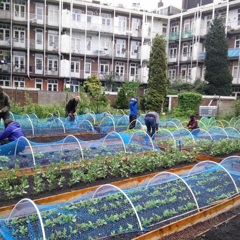 vrijwilligers leggen tuin van I can change the world with my two hands aan Amsterdam Weerproof