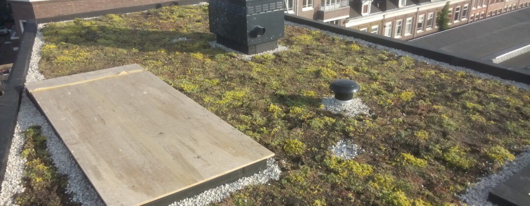 Groen dak met houden plaat en schoorsteen Amsterdam Weerproof