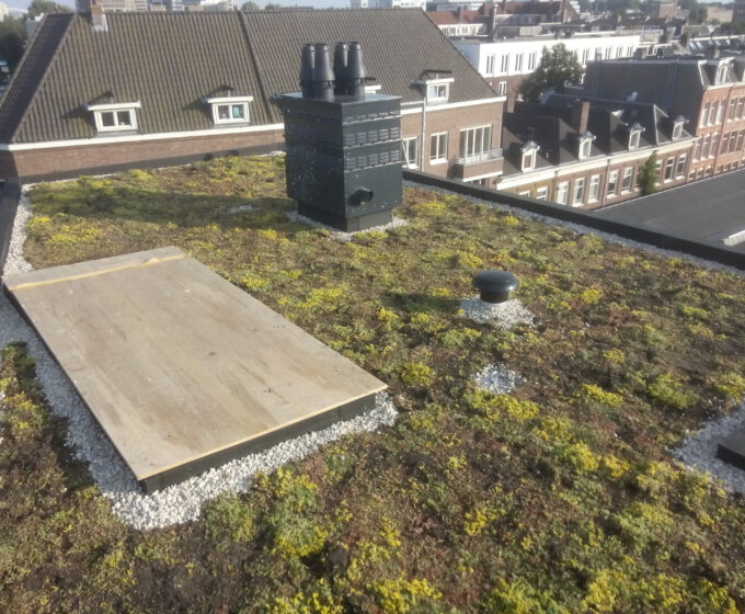 Groen dak met houden plaat en schoorsteen Amsterdam Weerproof