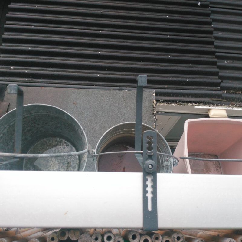 Emmers op balkon als regenton Amsterdam Weerproof