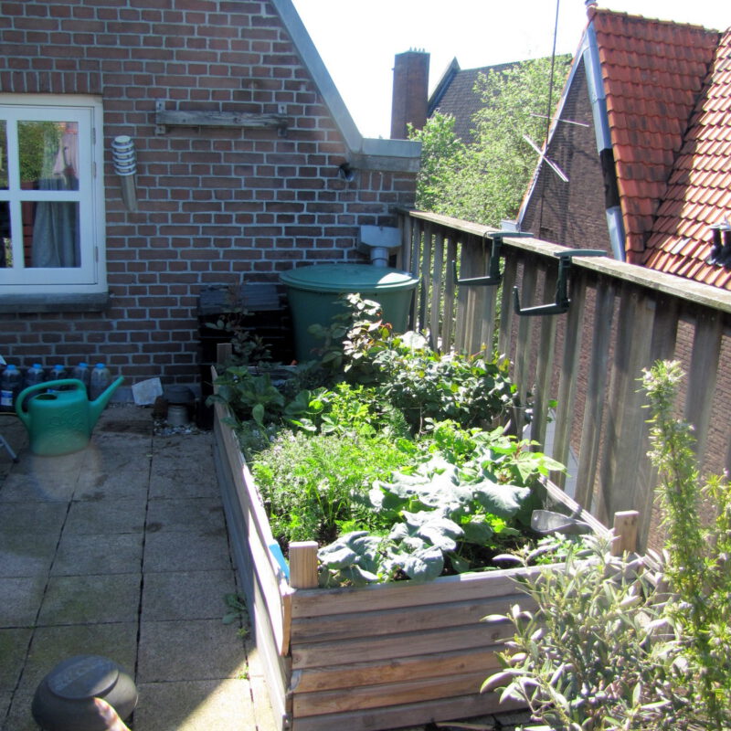 Regenton en daktuin Amsterdam Weerproof