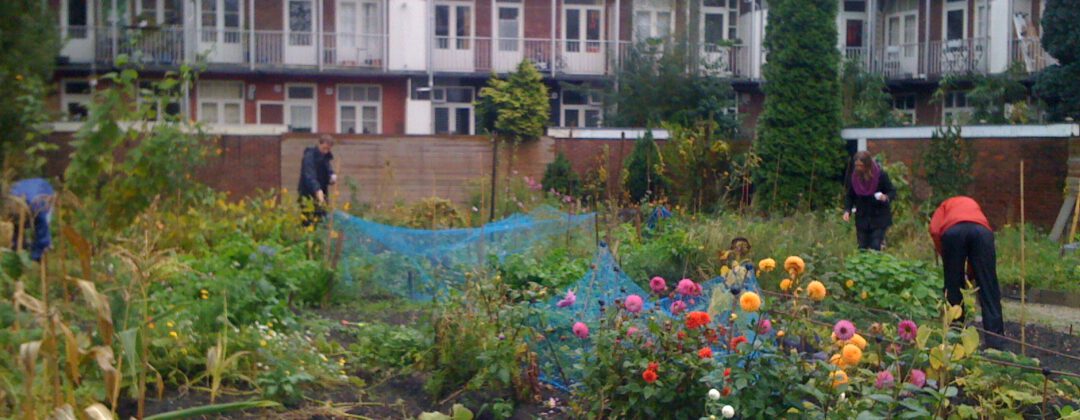 vrijwilligers leggen tuin van I can change the world with my two hands aan Amsterdam Weerproof
