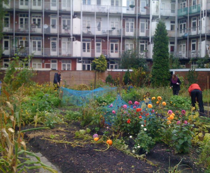 vrijwilligers leggen tuin van I can change the world with my two hands aan Amsterdam Weerproof