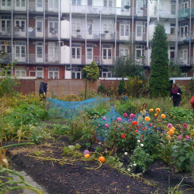 vrijwilligers leggen tuin van I can change the world with my two hands aan Amsterdam Weerproof