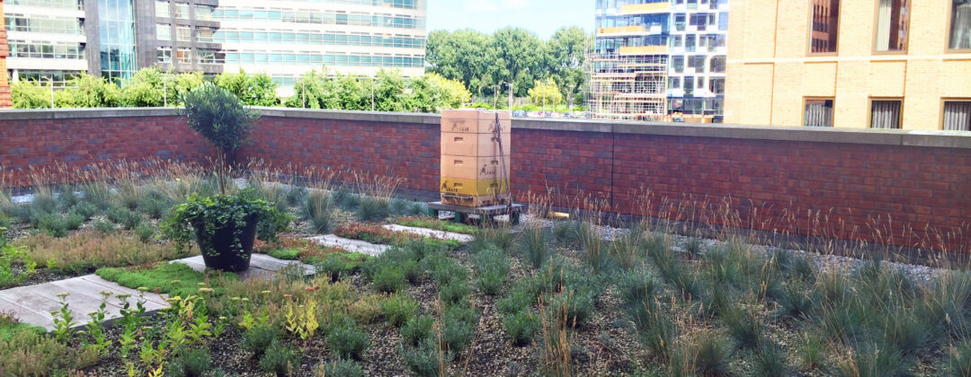 Groen kruidendak Amsterdam Weerproof