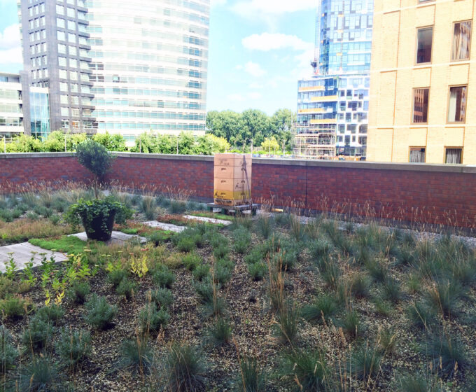 Groen kruidendak Amsterdam Weerproof