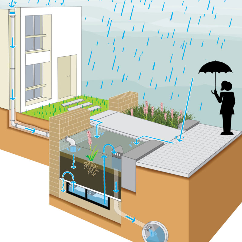 Dwarsdoorsnede van een watervertragende groenstrook bij de Zuidas Amsterdam Weerproof