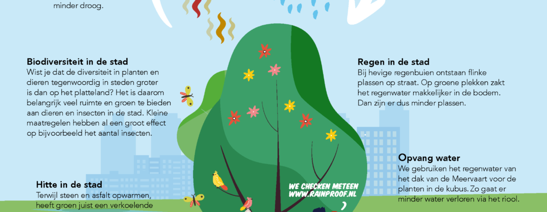 Klimaat Kubus infographic van gemeente Amsterdam Amsterdam Weerproof