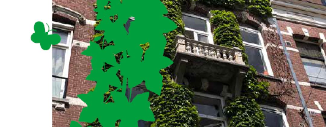 Event: Lancering klimplantengids met wethouder Melanie van der Horst