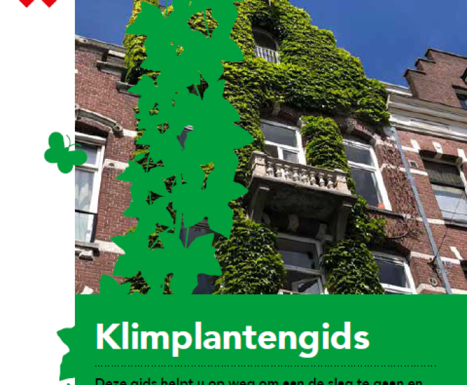 Event: Lancering klimplantengids met wethouder Melanie van der Horst