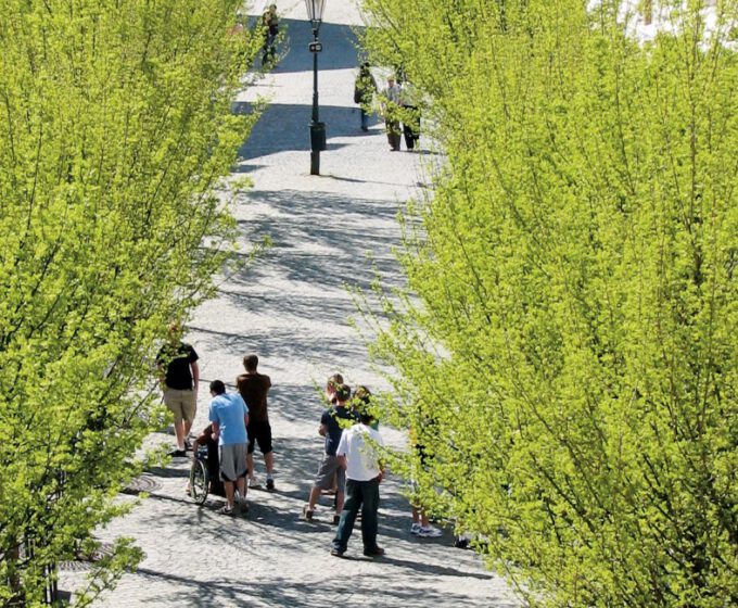 Koele verharding als maatregel tegen hitte op straat