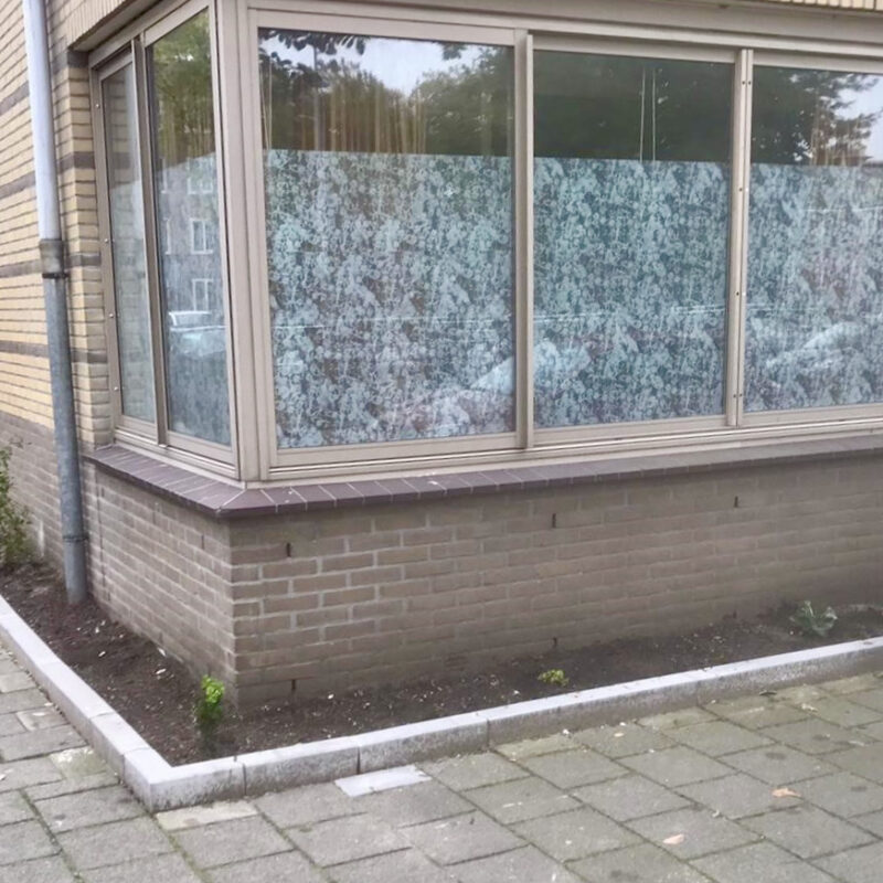 Aanleg geveltuin Amsterdam Weerproof