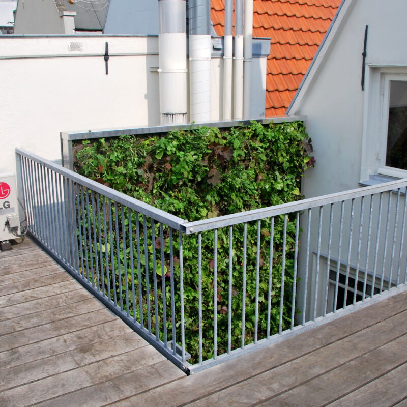 Groene gevel van Sempergreen in binnenplaatsje tegen hitte Keizersgracht Amsterdam Weerproof