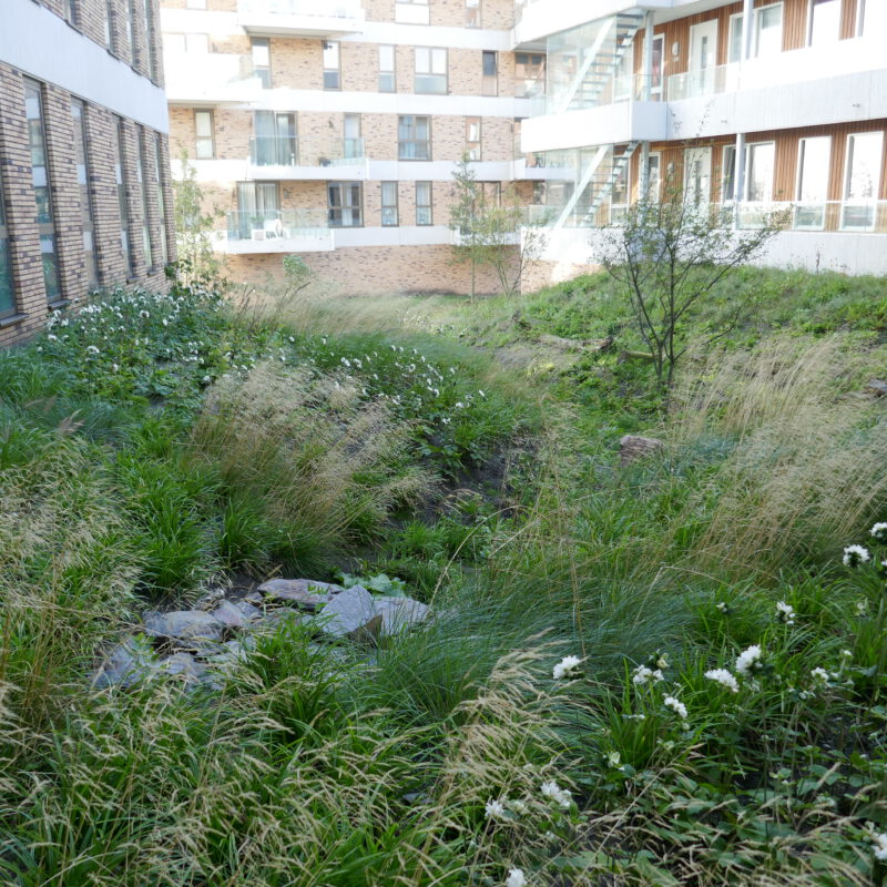 Groene tuin Blok 54 IJburg Amsterdam Weerproof