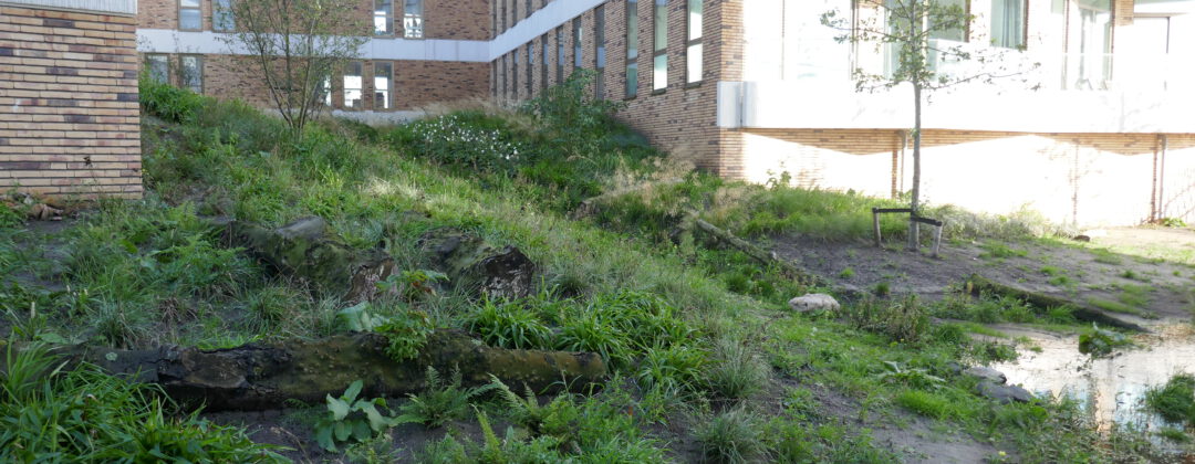 Groene tuin Blok 54 IJburg Amsterdam Weerproof
