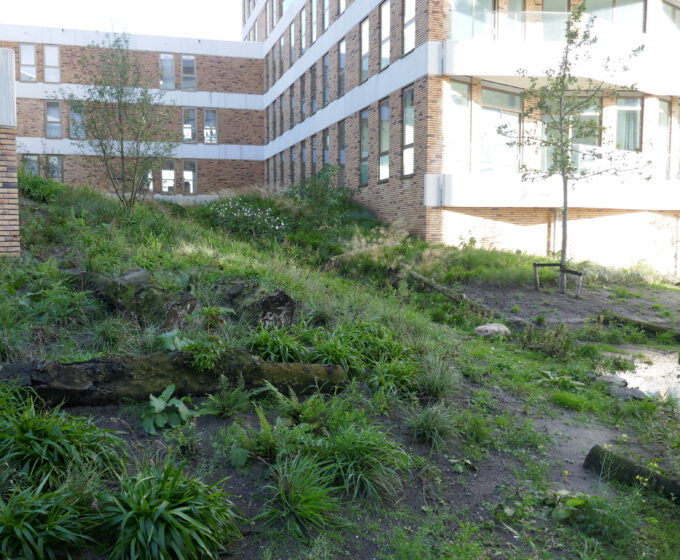 Groene tuin Blok 54 IJburg Amsterdam Weerproof