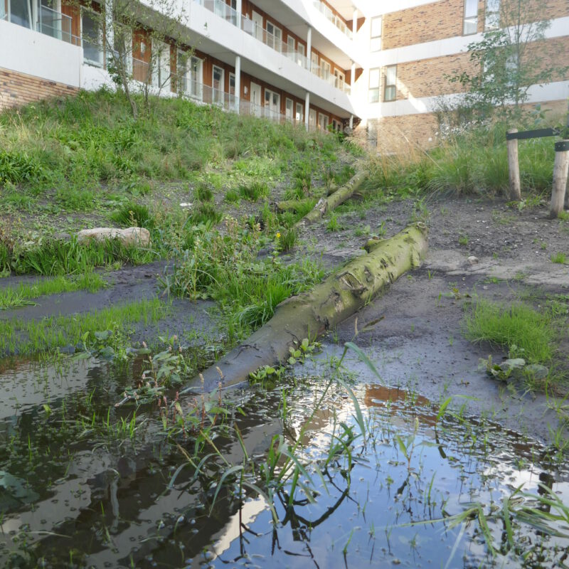 Groene tuin Blok 54 IJburg Amsterdam Weerproof