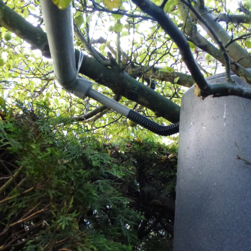 Regenton onder boom Amsterdam Weerproof