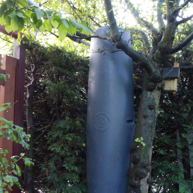 Regenton onder boom Amsterdam Weerproof