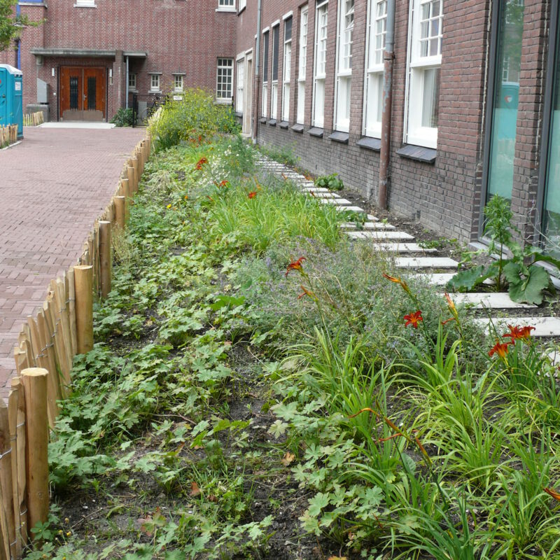 Groene tuinen in plaats van parkeerplaatsen Amsterdam Weerproof