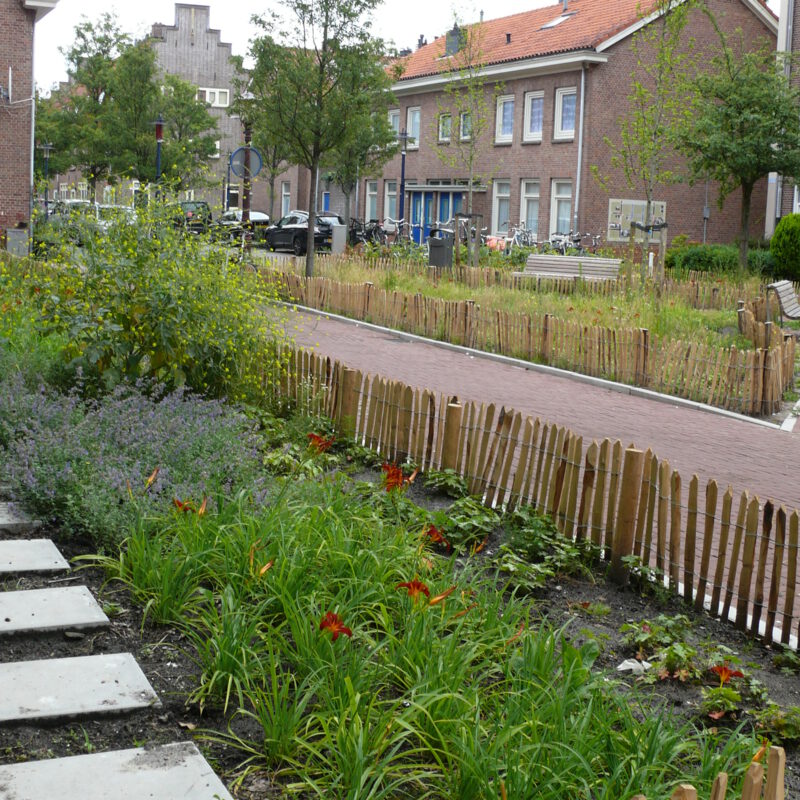 Groene tuinen in plaats van parkeerplaatsen Amsterdam Weerproof